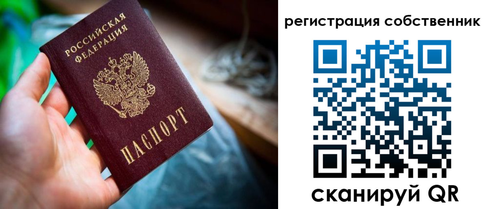 прописка гарантия в Юже